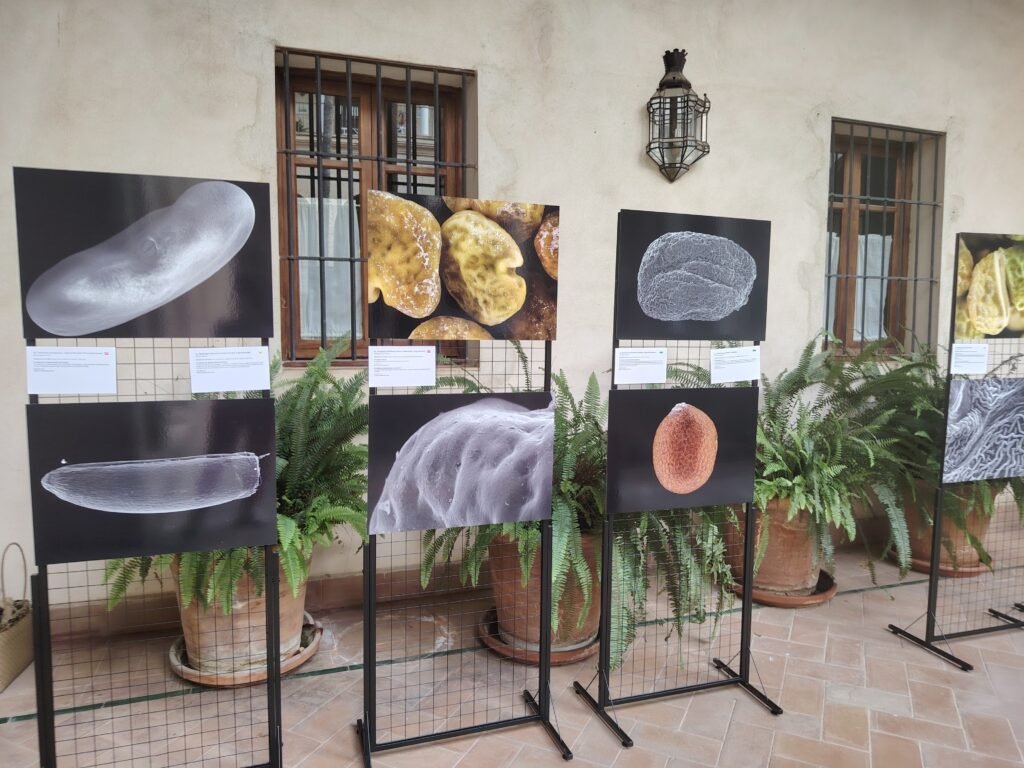 Exposicion de arte